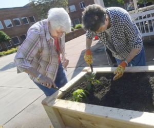 Women tending to garden